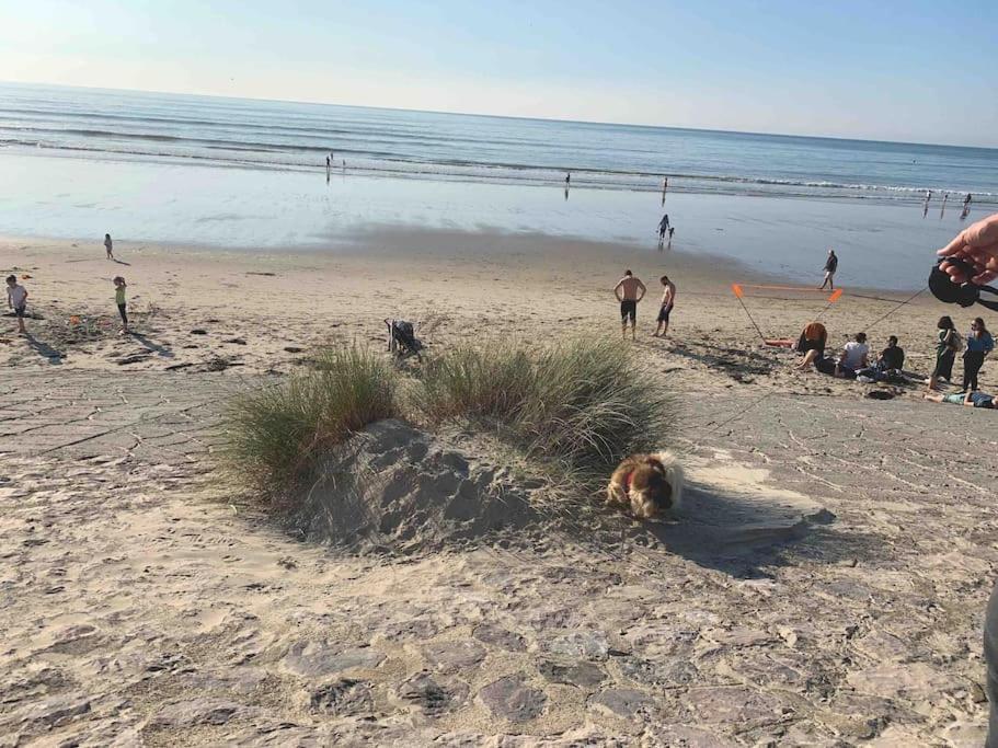 Maison Au Calme Avec Jardin Pres Du Chateau, Foret Et Plage Condette Eksteriør billede