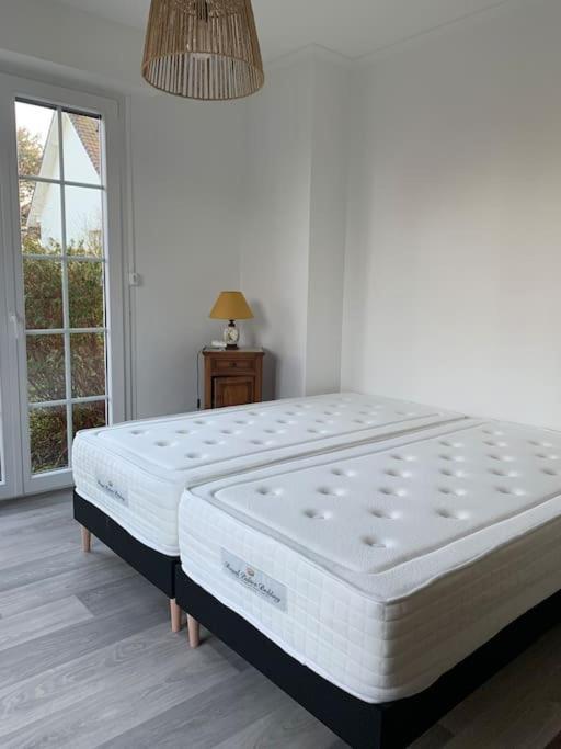 Maison Au Calme Avec Jardin Pres Du Chateau, Foret Et Plage Condette Eksteriør billede