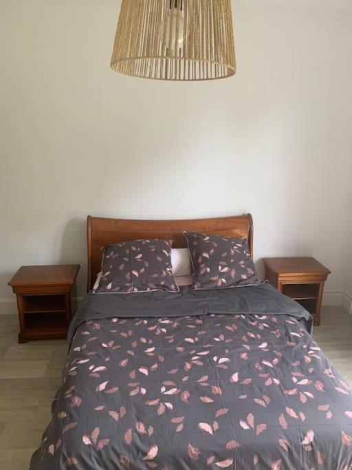 Maison Au Calme Avec Jardin Pres Du Chateau, Foret Et Plage Condette Eksteriør billede