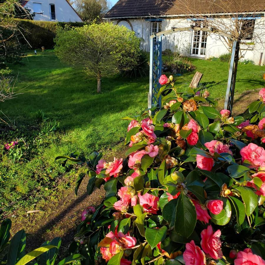 Maison Au Calme Avec Jardin Pres Du Chateau, Foret Et Plage Condette Eksteriør billede