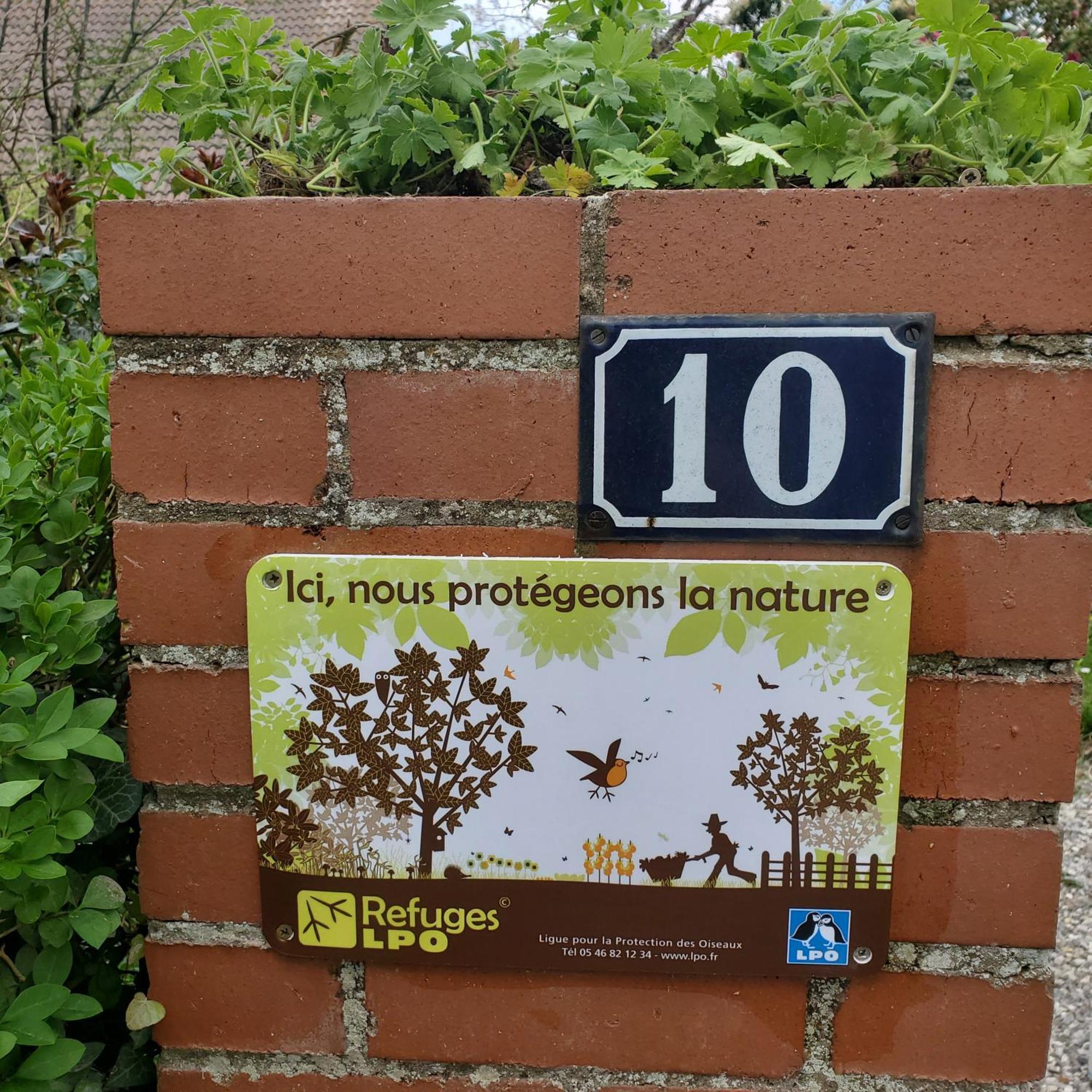 Maison Au Calme Avec Jardin Pres Du Chateau, Foret Et Plage Condette Eksteriør billede